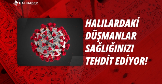 HALILARDAKİ MAYTLAR SAĞLIĞINIZI TEHDİT EDİYOR